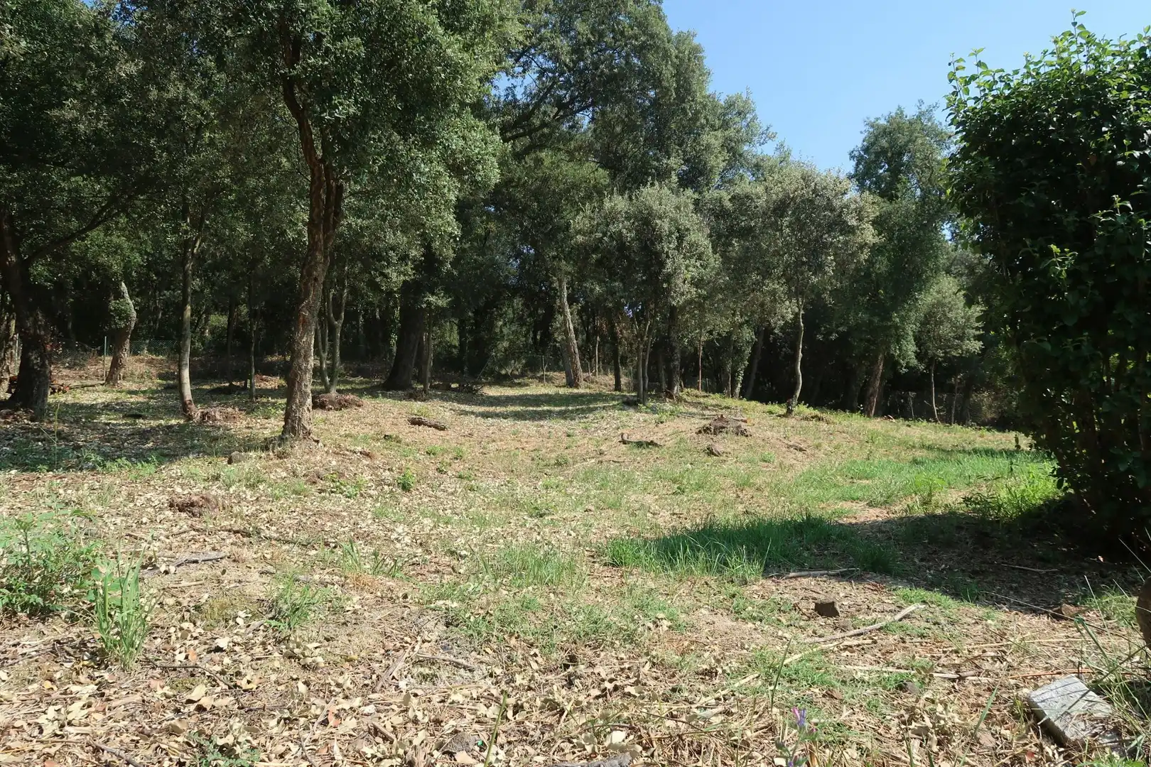 Finca rústica en venda en Canet d'Adri amb Calefacció i Terrassa