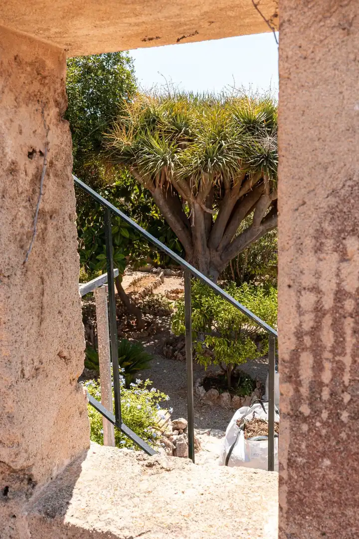 Garden of Country homes for sale in Marratxí  with Terrace, Storage room and Furnished