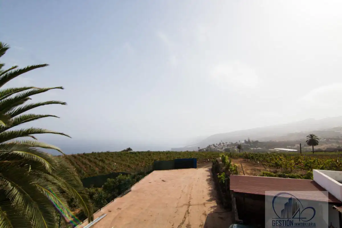 Vista exterior de Finca rústica en venda en Santa Úrsula amb Terrassa i Balcó