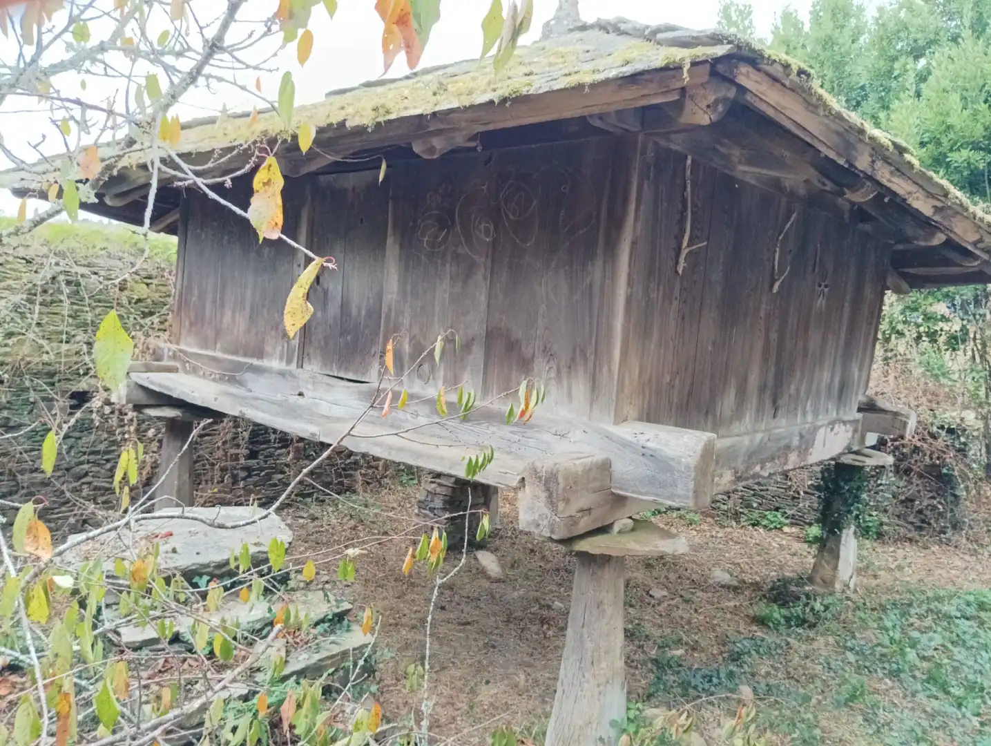Vista exterior de Casa o chalet en venta en Navia de Suarna con Jardín privado, Terraza y Amueblado