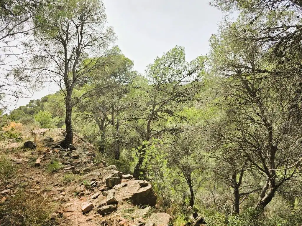 Wohnbaugrundstück zum Verkauf in Carrer Canteres 18, imagen 17
