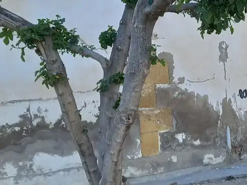Vista exterior de Residencial en venta en Murcia
