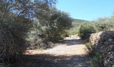 Land for sale in Salem