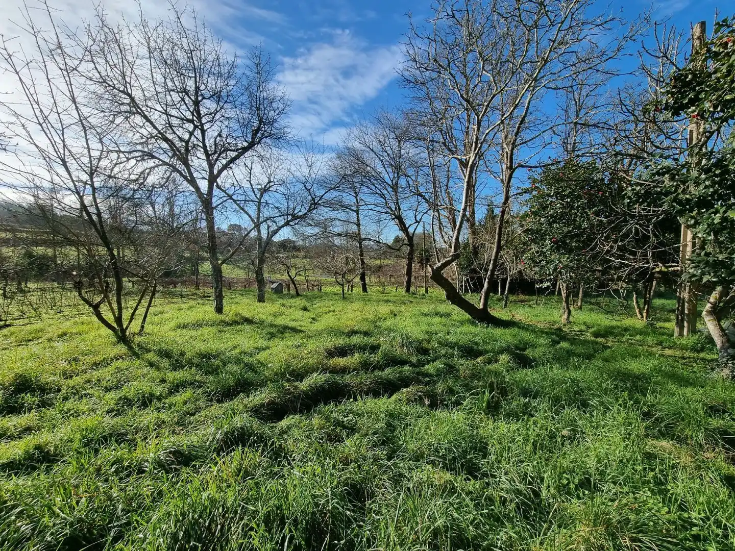 Houses for sale in Teo