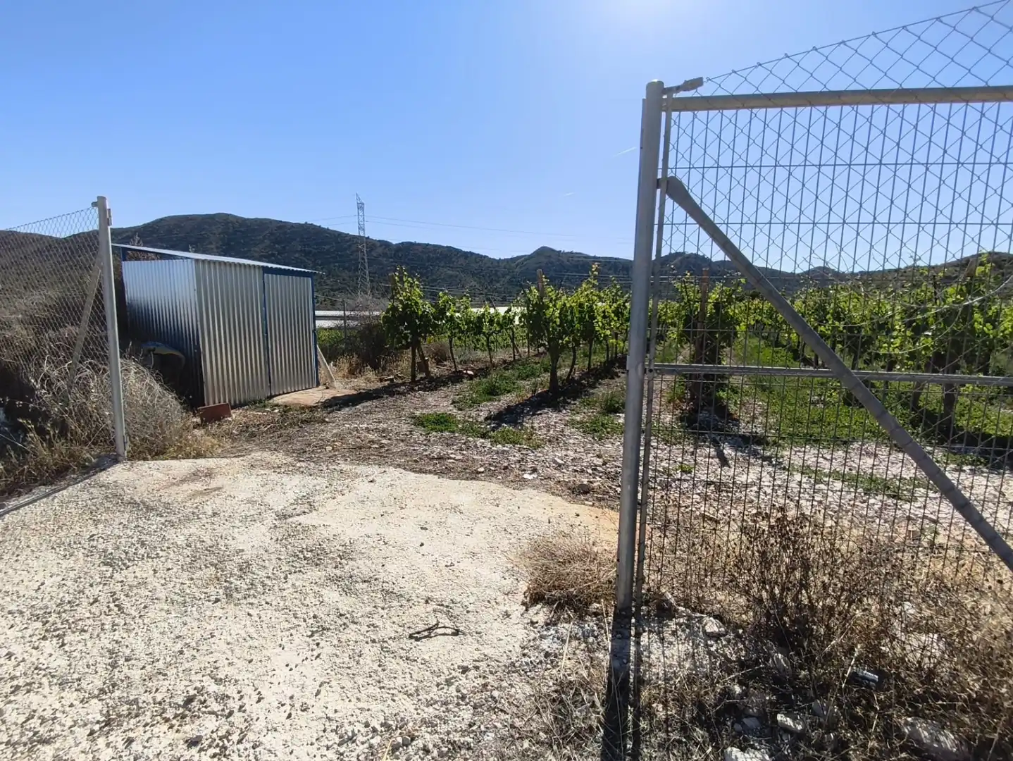 Terreno rústico en venta en Monforte del Cid - Paraje la Serreta, imagen 4