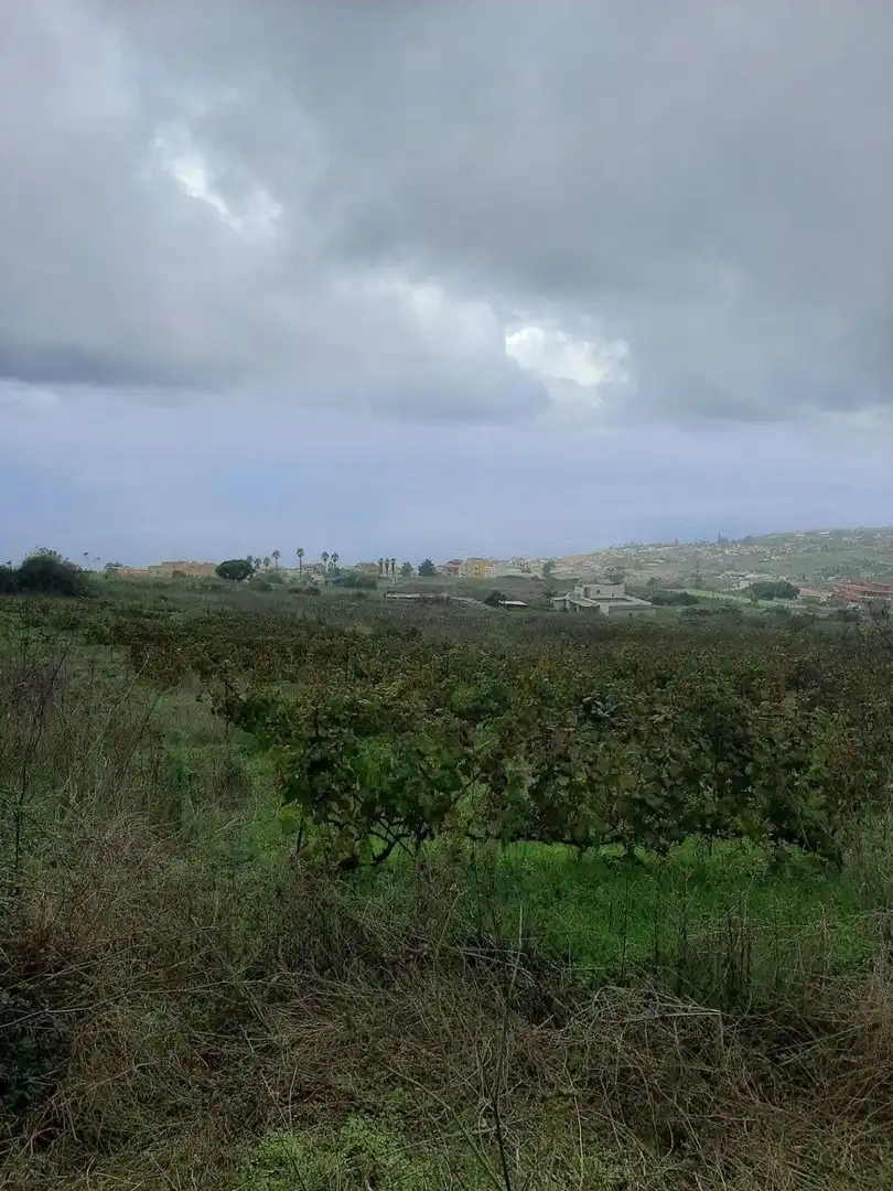 Terreny rústic en venda a CRUZ DE LEANDRO, imagen 11