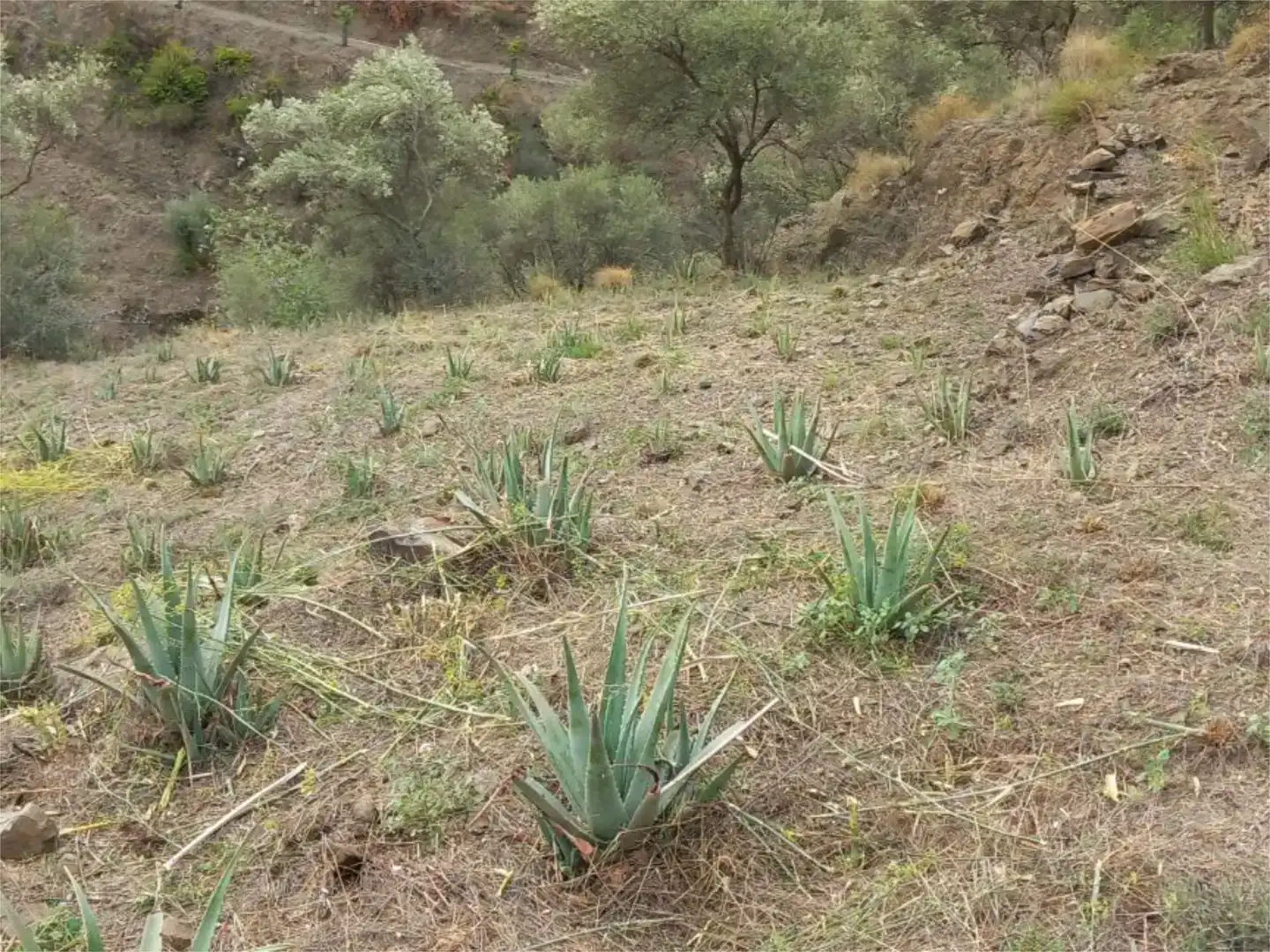 Terreno en venta en Árchez