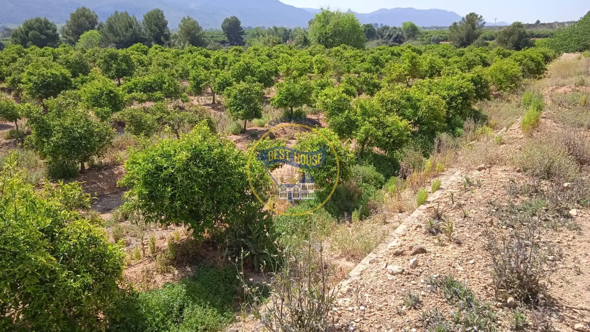 Terreno residencial en venta en Montesa, imagen 3