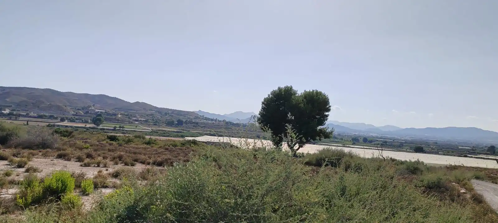 Rustikales Grundstück zum Verkauf in Carretera CAMINO EL RIO, imagen 3