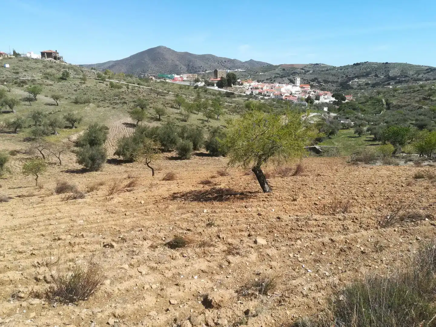 Terreno en venta en Tahal