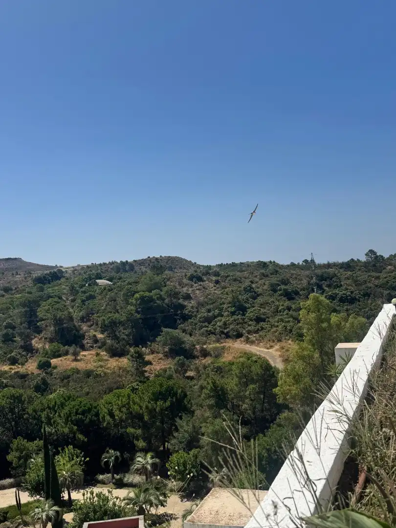 Àtic amb piscina en venda a Urbanizacion Parque Botanico las Lomas de Guadalmina, imagen 29