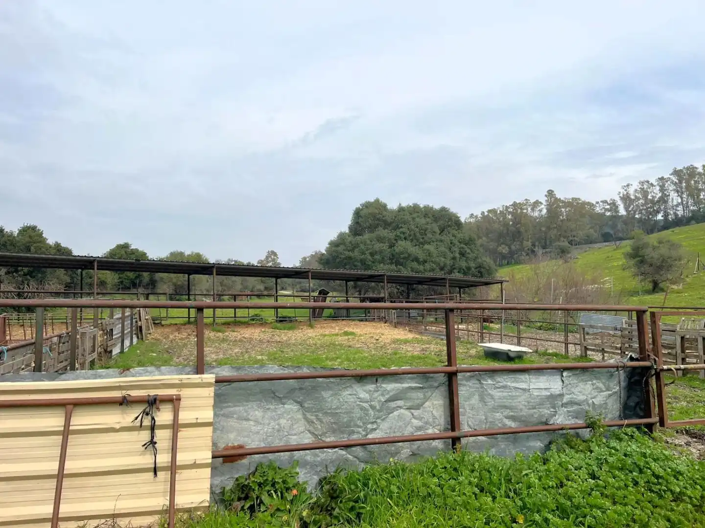 Exterior view of Country homes for sale in Jimena de la Frontera