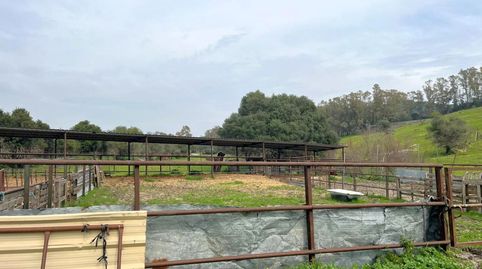 Foto 5 de Finca rústica en venta en Jimena de la Frontera, Cádiz