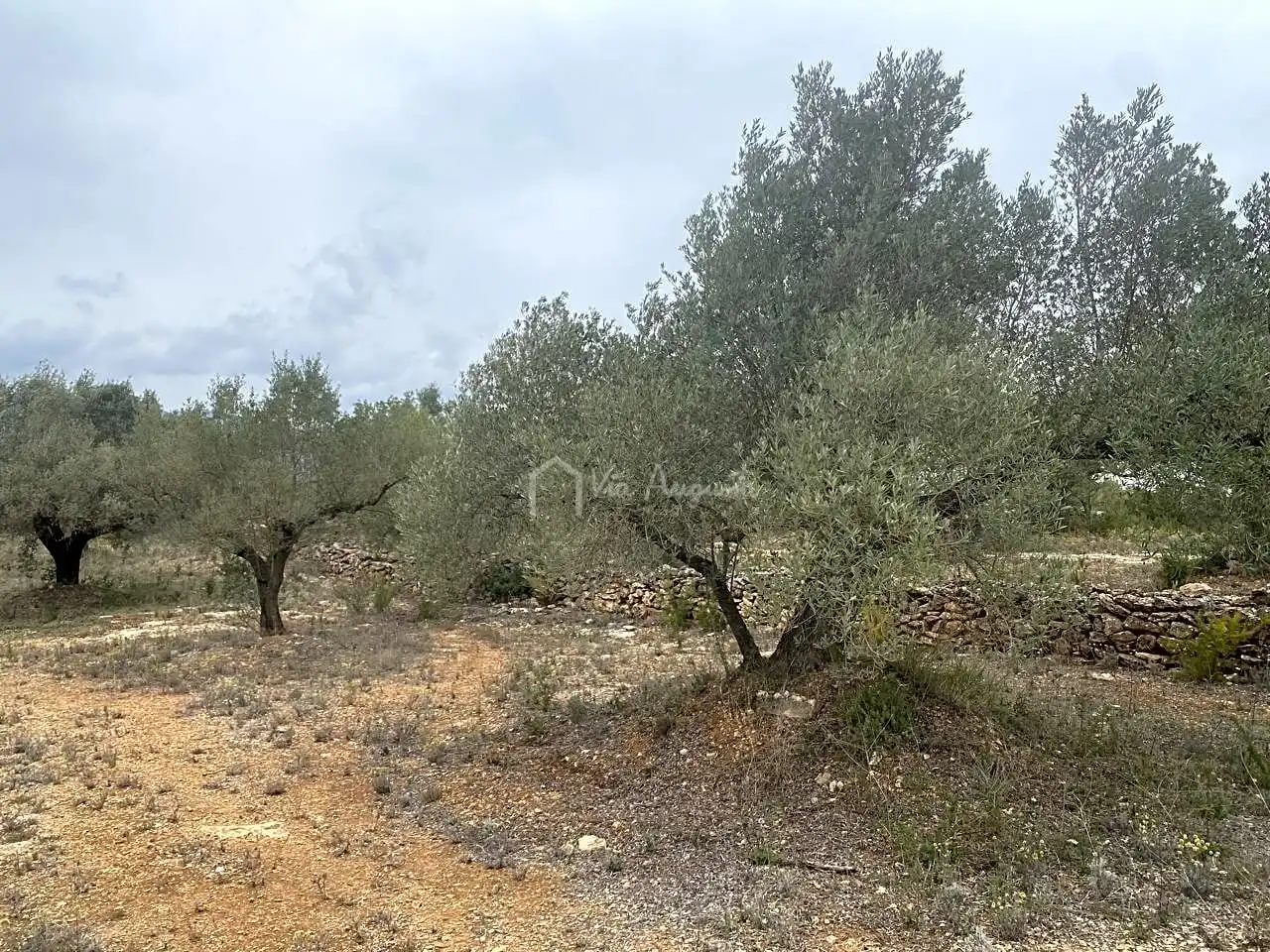 Terreno rustico in vendita a Burga