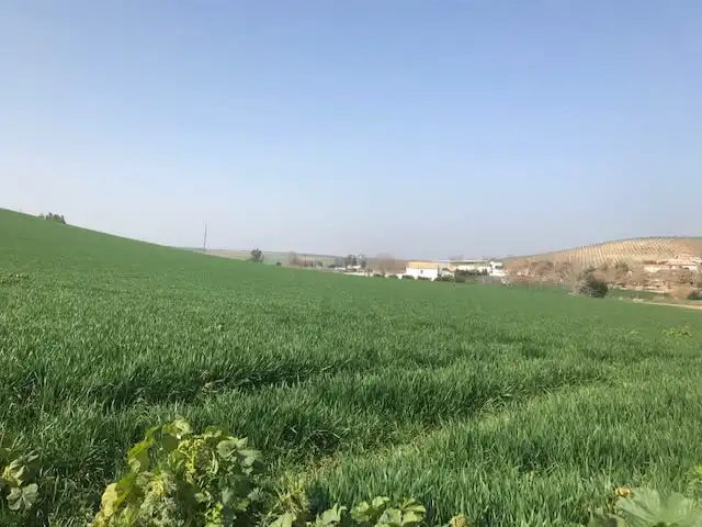 Terreny rústic en venda a DEL COTO, imagen 2