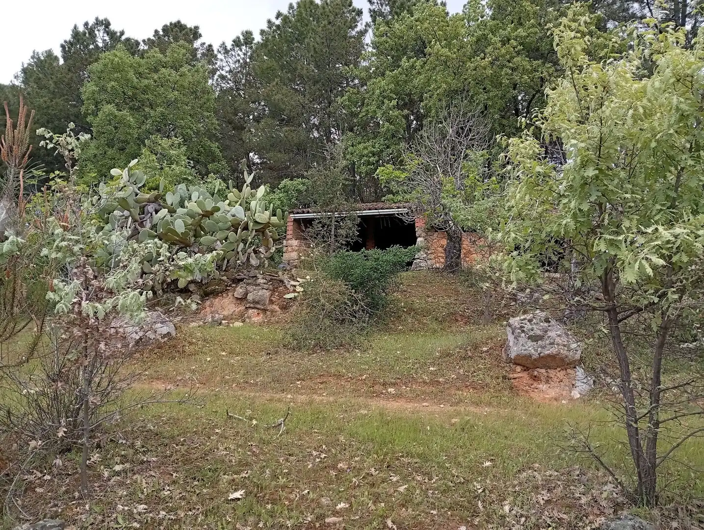 Terreni e lotti in vendita a Villanueva de la Vera, imagen 8
