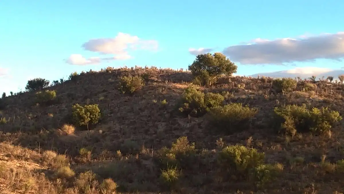 Finca rústica en venta en Alcantarilla