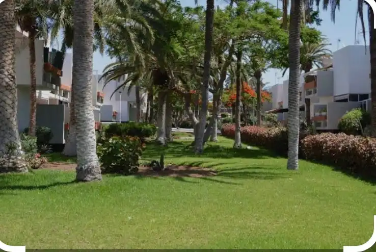 Vista exterior de Apartamento en venta en Arona con Terraza, Amueblado y Horno