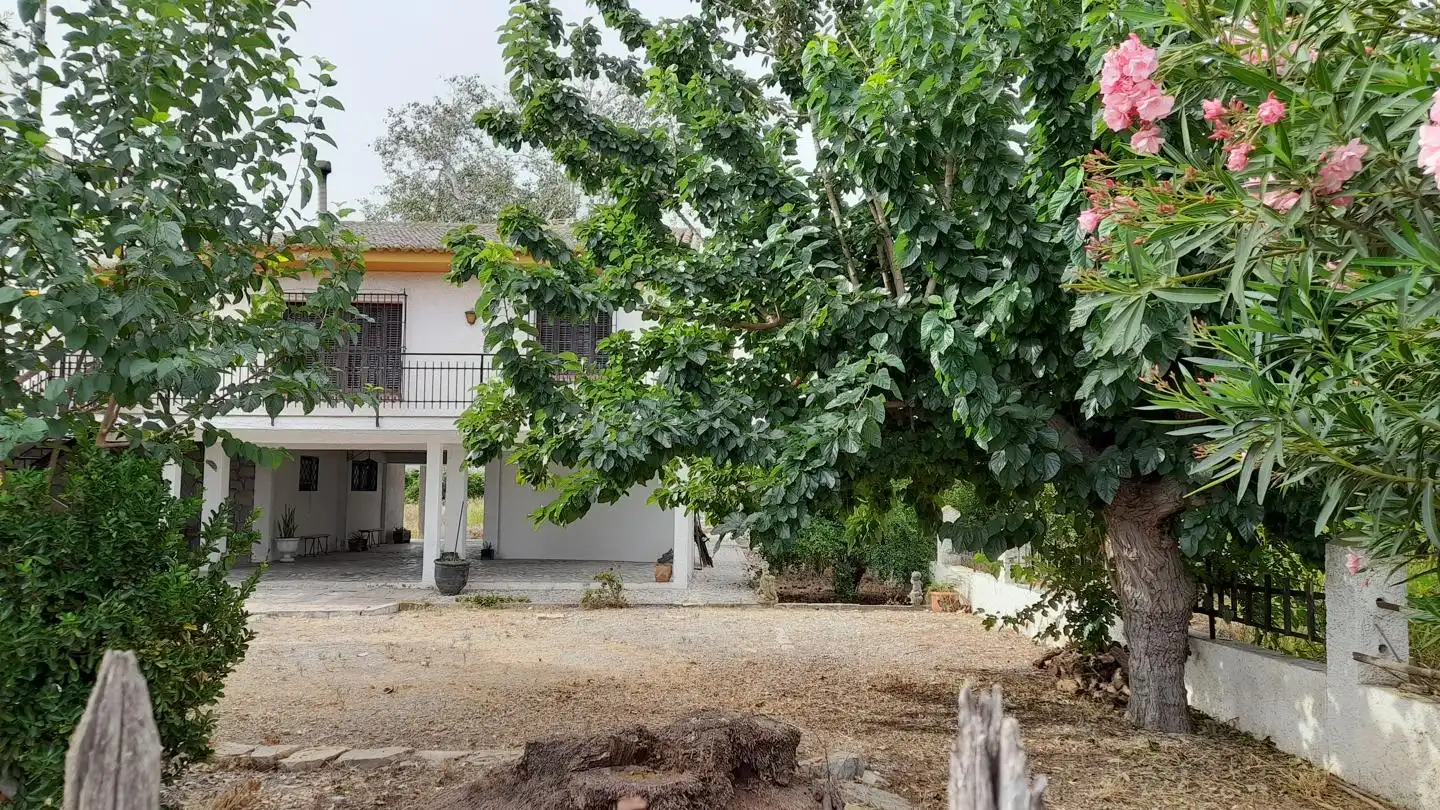 Haus oder Chalet zum Verkauf in Benejúzar mit Privatgarten, Terrasse und Schwimmbad