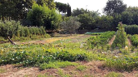 Photo 3 of Residential for sale in Mas Florit - Ca la Guidó, Girona