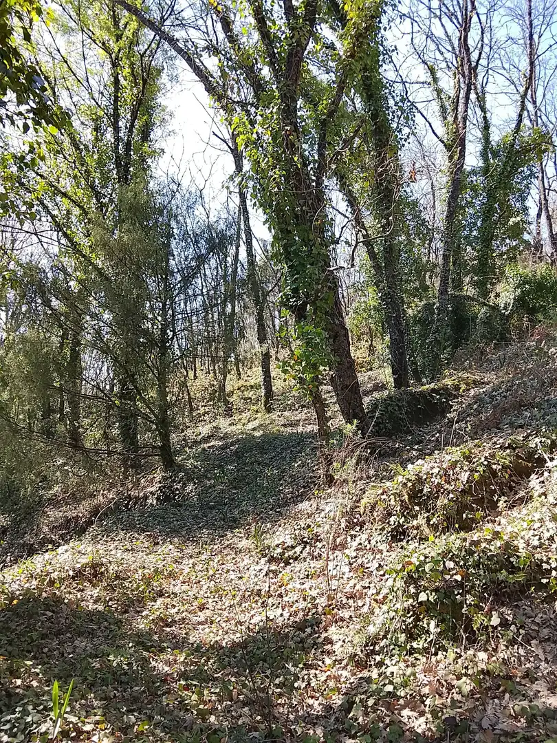 Terreni e lotti in vendita a Madrigal de la Vera, imagen 7
