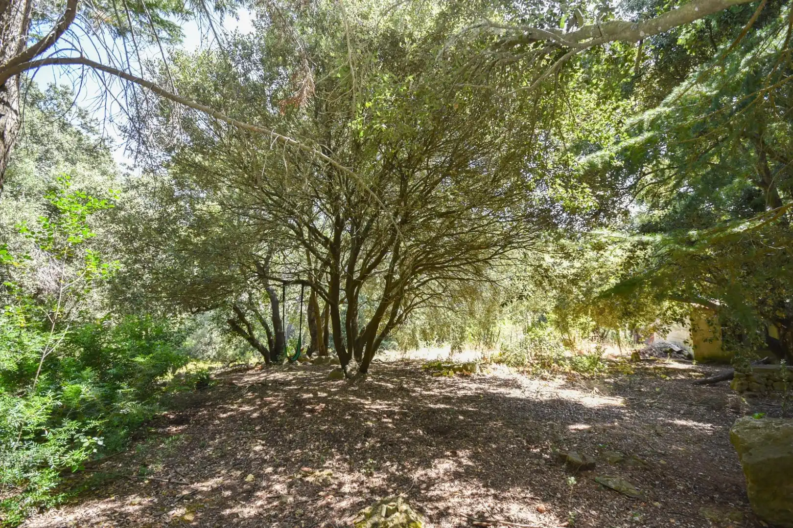 Finca rústica en venta en Puigpunyent con Trastero
