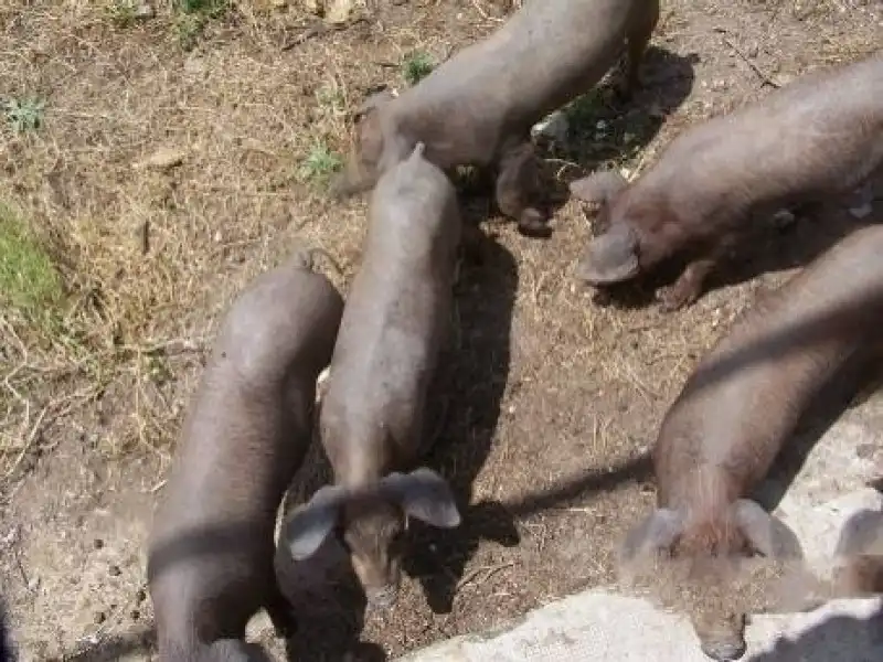 Terreni e lotti in vendita a Alcántara, imagen 27