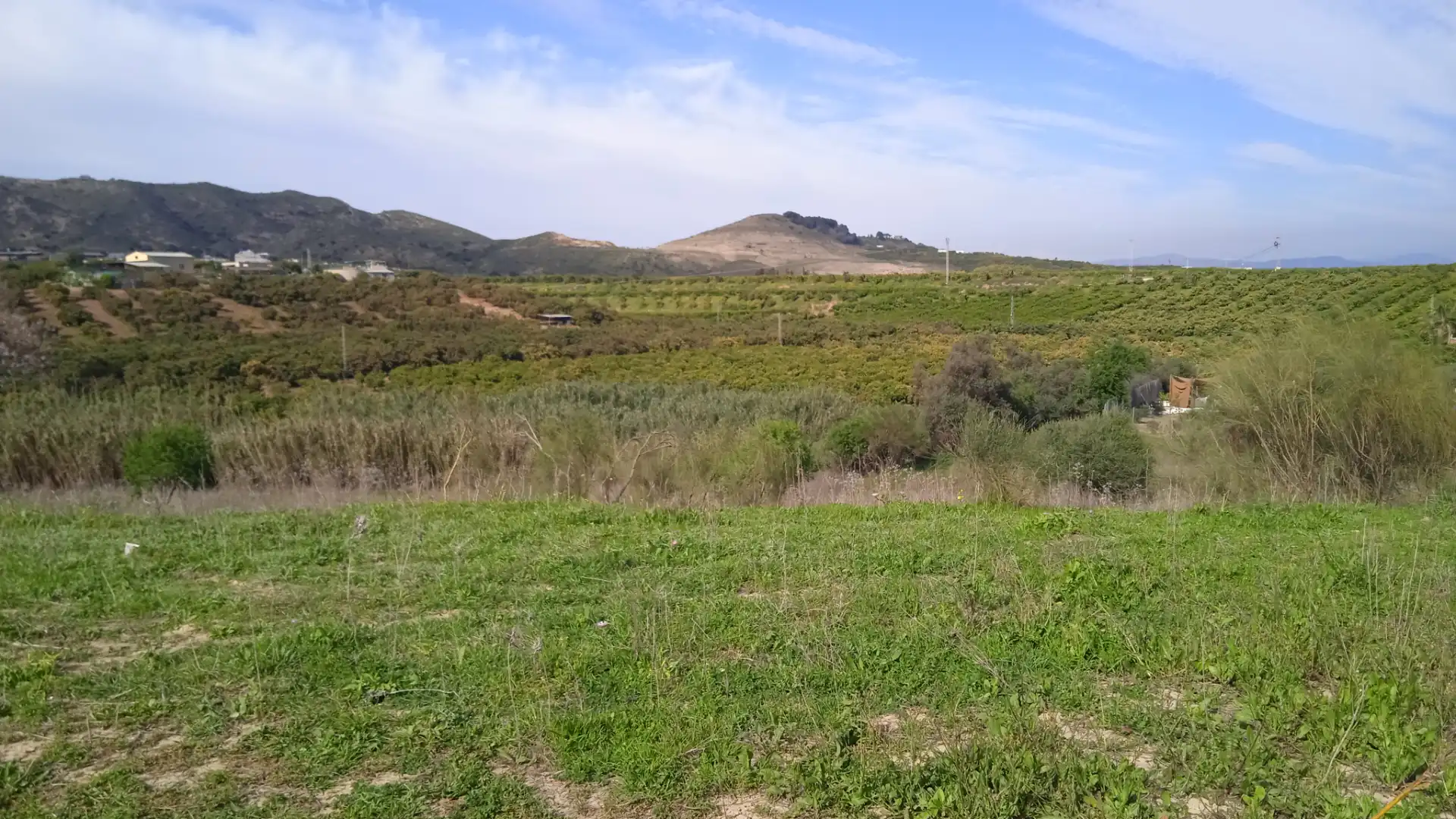 Rustikales Grundstück zum Verkauf in Camino Cuesta del Palmar 34, imagen 11