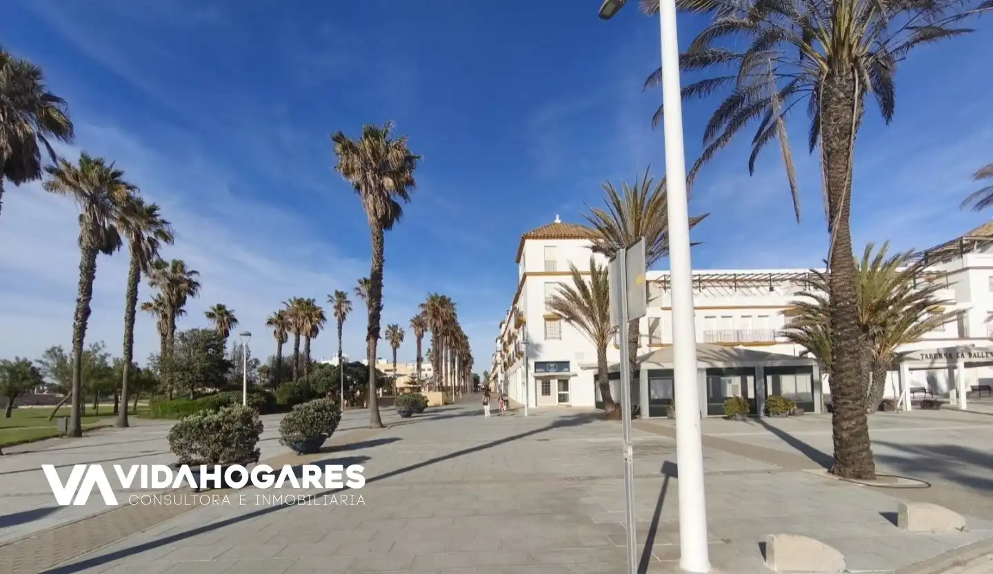 Exterior view of Commercial properties for sale in Chipiona