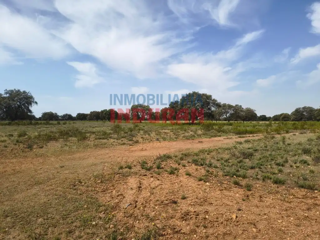 Finca rústica en venda en Talaván