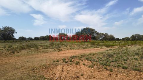 Foto 5 de Finca rústica en venda a Calle Herradores, Talaván, Cáceres