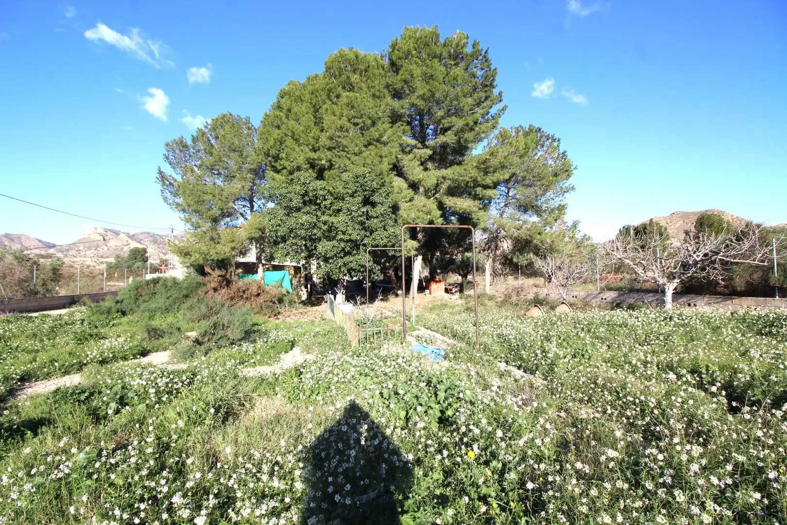 Casa o xalet en venda en Alicante / Alacant