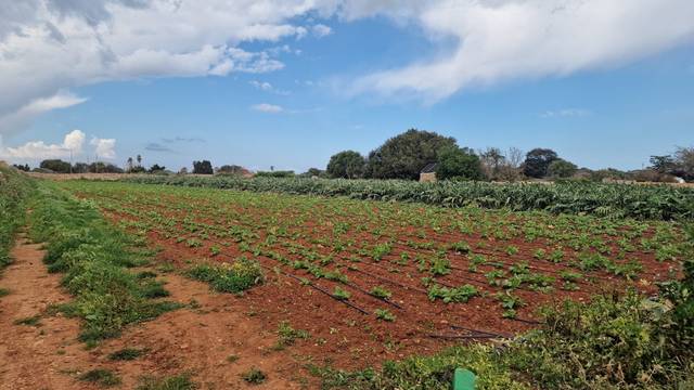 Terreno en Venta en Ciutadella