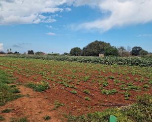 Land for sale in Ciutadella de Menorca