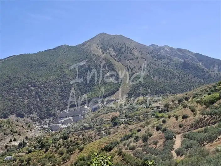 Detached house with pool for sale in Alcaucín, imagen 14