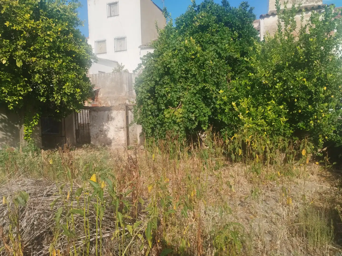 Casa con giardino in vendita a Calle Derecha, imagen 4