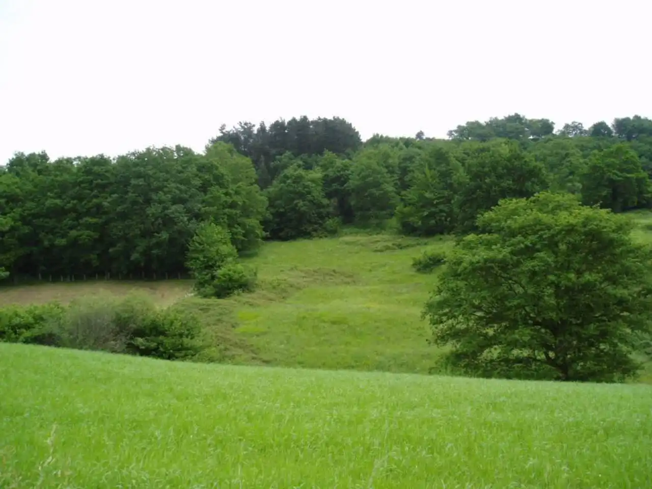 Terreno residenziale in vendita a Karrantza Harana/Valle de Carranza