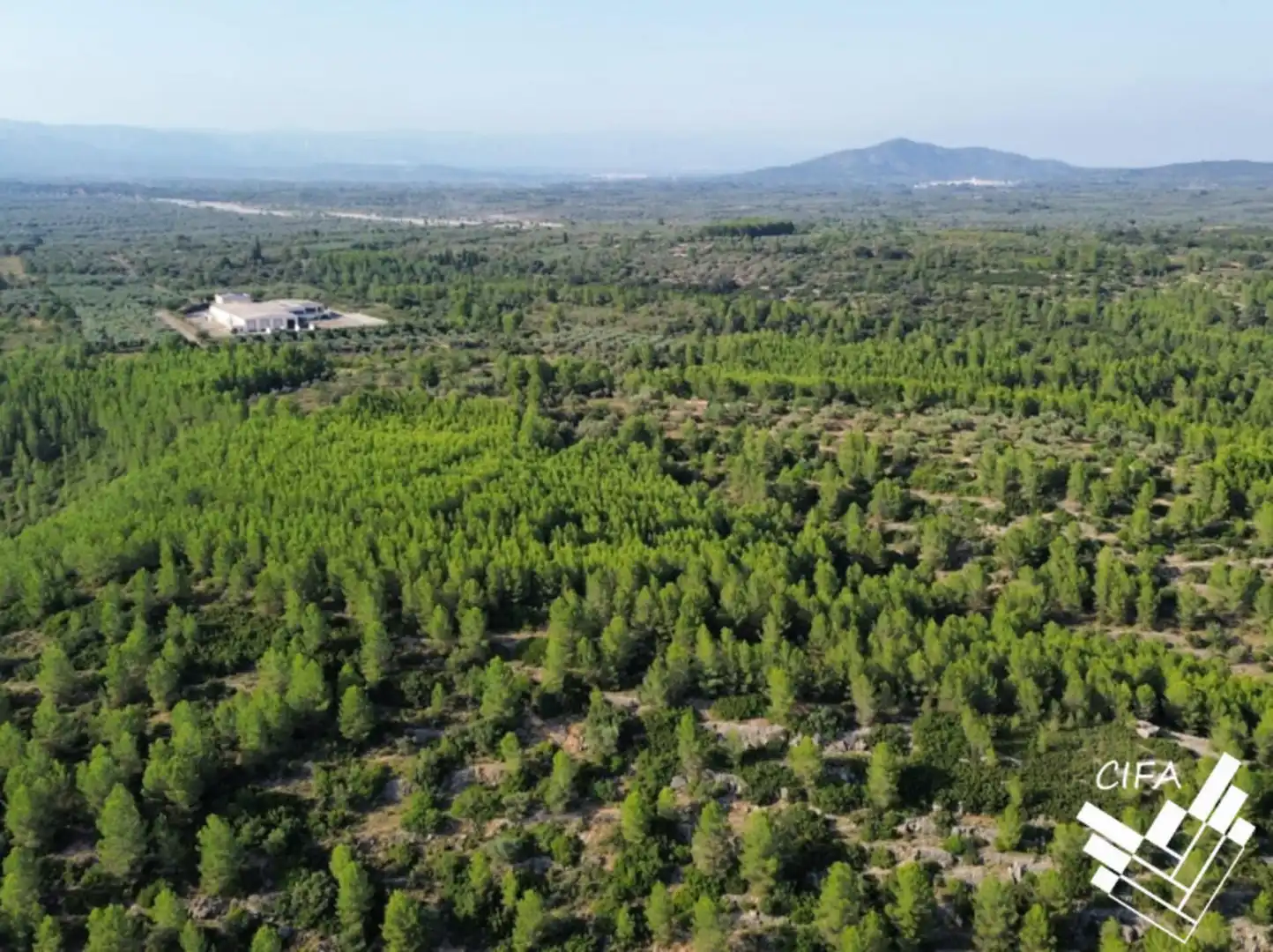 Terreno en venta en Sant Mateu