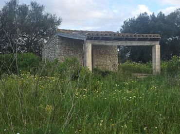 Rustikales Grundstück zum Verkauf in Felanitx Poble