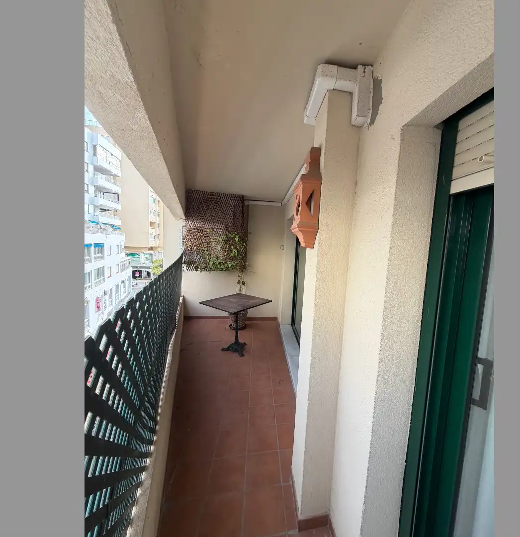 Pis amb ascensor en venda a Avenida Ricardo Soriano 17, imagen 17