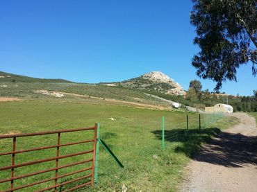 Casa rústica en venda a Peñarroya-Pueblonuevo