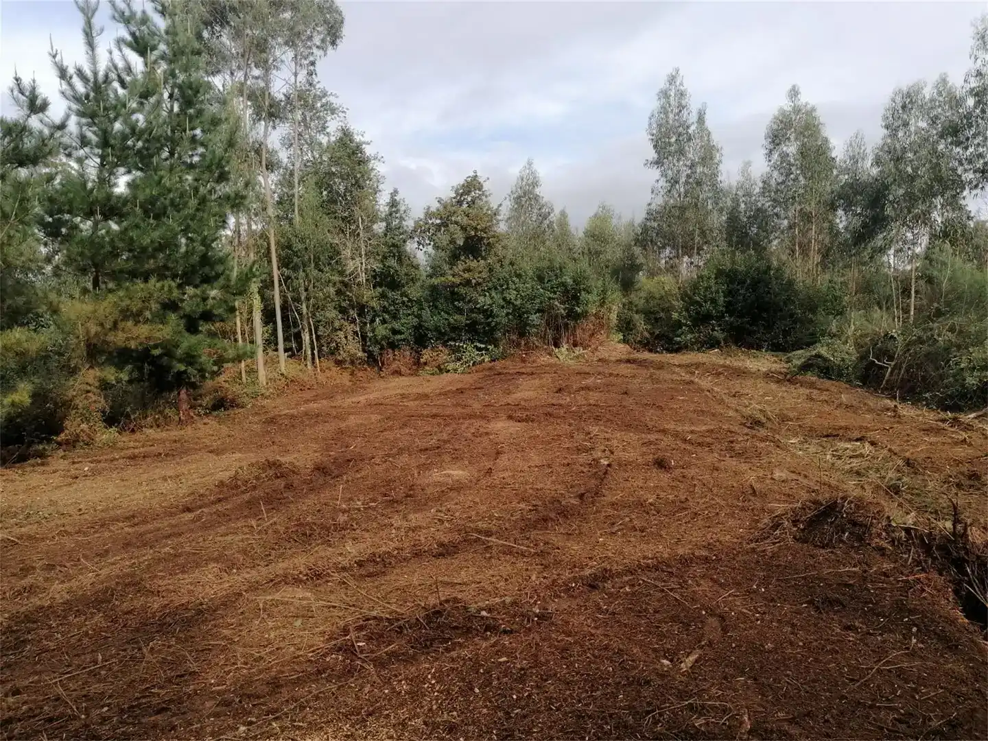 Terreno en venta en Cerdido