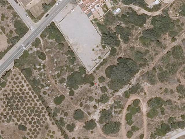 Terreno en Alquiler en Carrer Pare Munar, 14 en Algaida