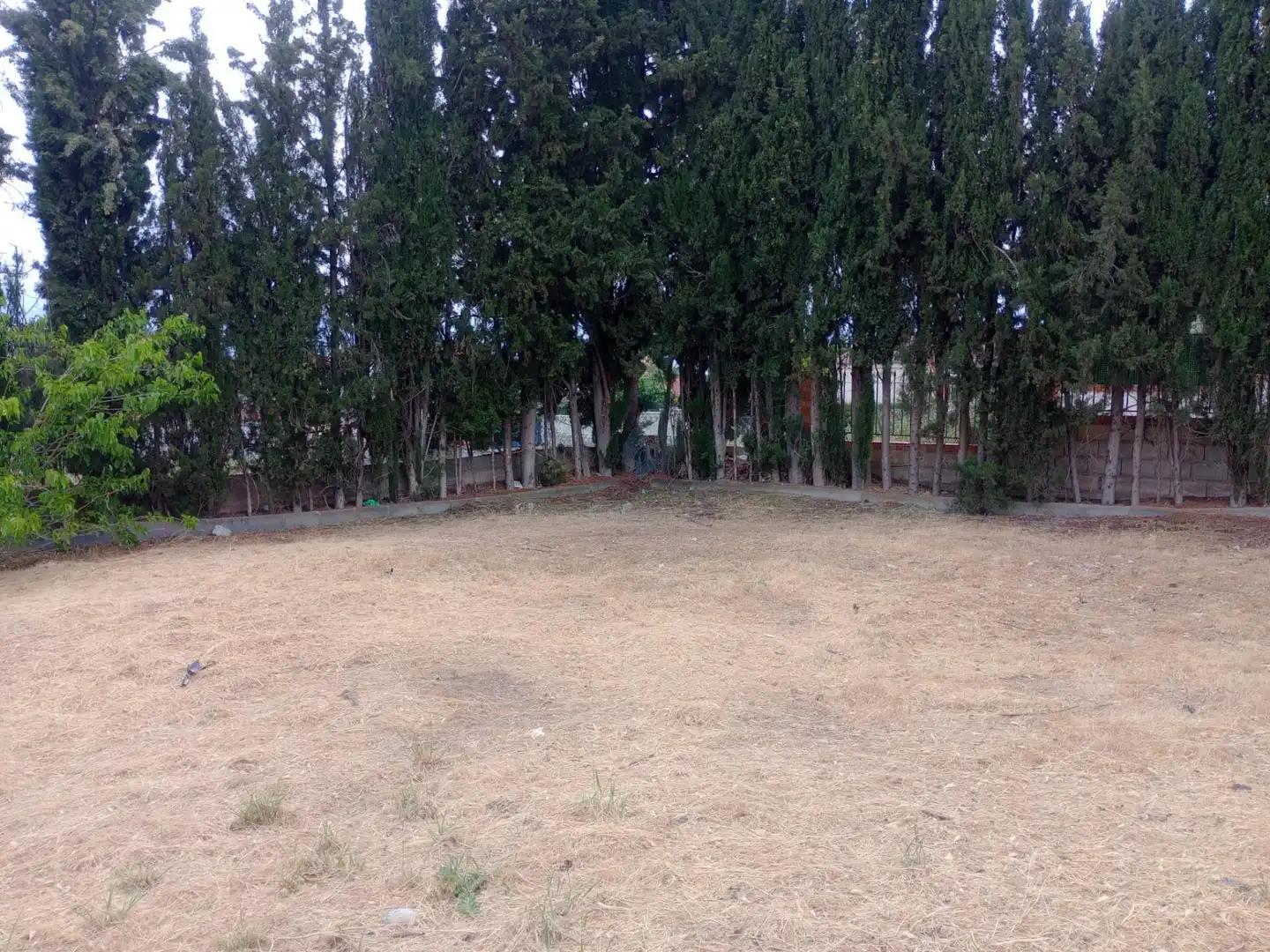 Terreny residencial en venda a Calle Calle Geraneo (Vent)