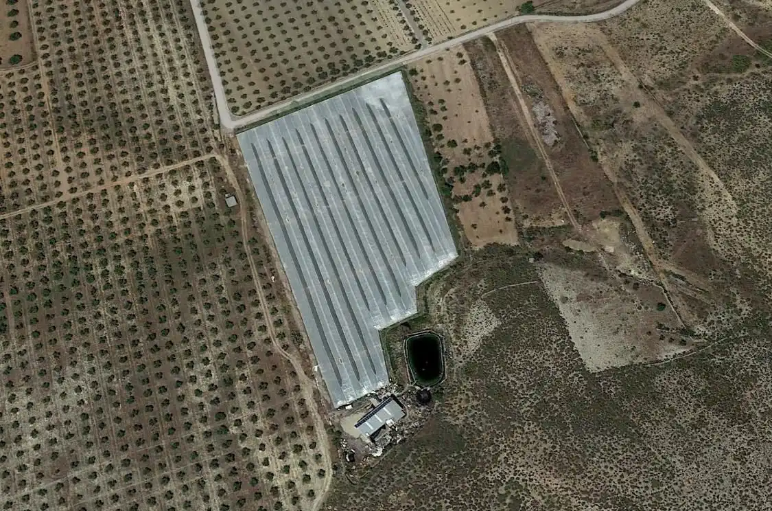Terreny rústic en venda a Uleila del Campo, imagen 4