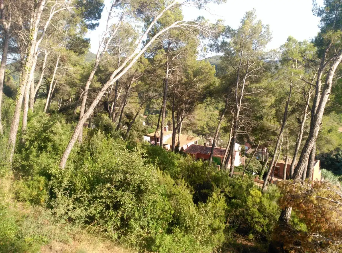 Terreni e lotti in vendita a Corbera de Llobregat, imagen 36