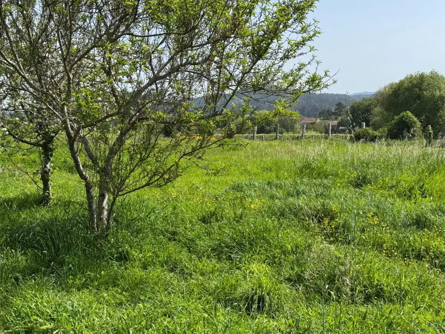 Casa o xalet en venda en Meis