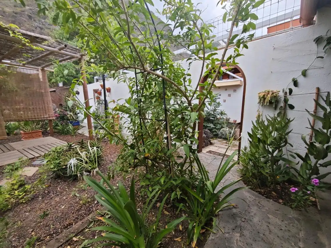 Casa con jardín en venta en Garachico, imagen 55