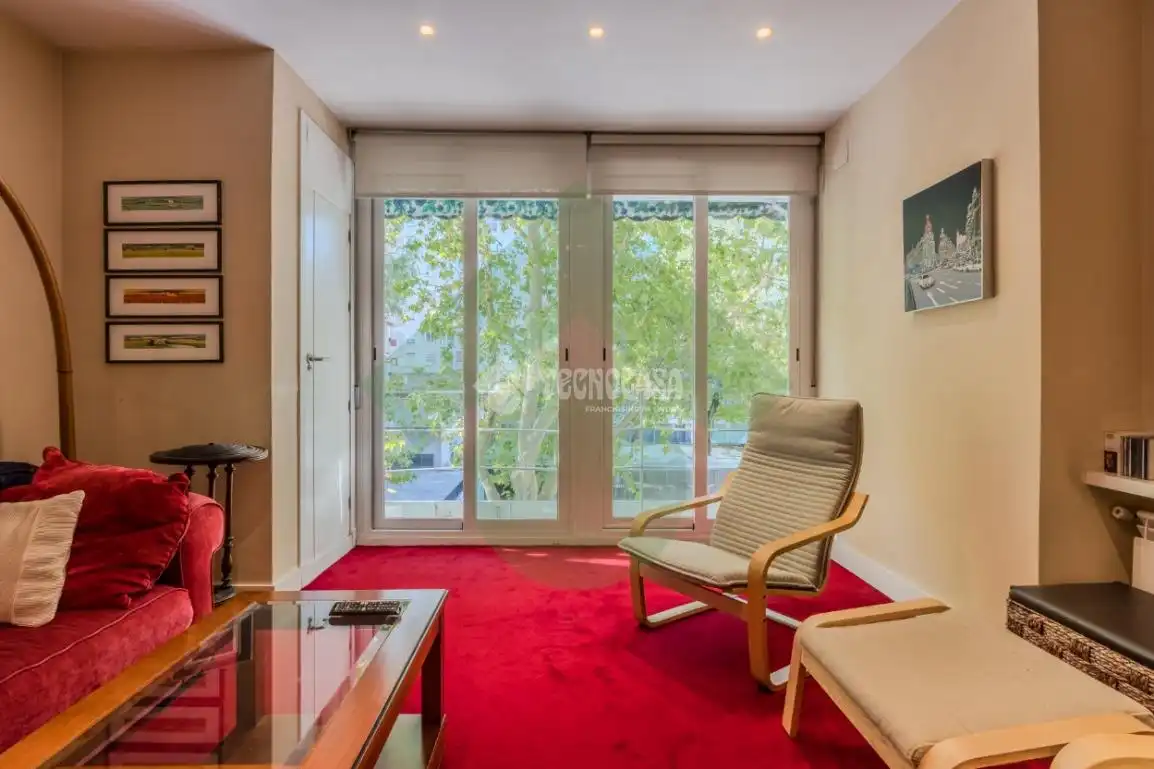 Appartamento con terrazza in affitto a Calle del Gral. Gallegos, imagen 5