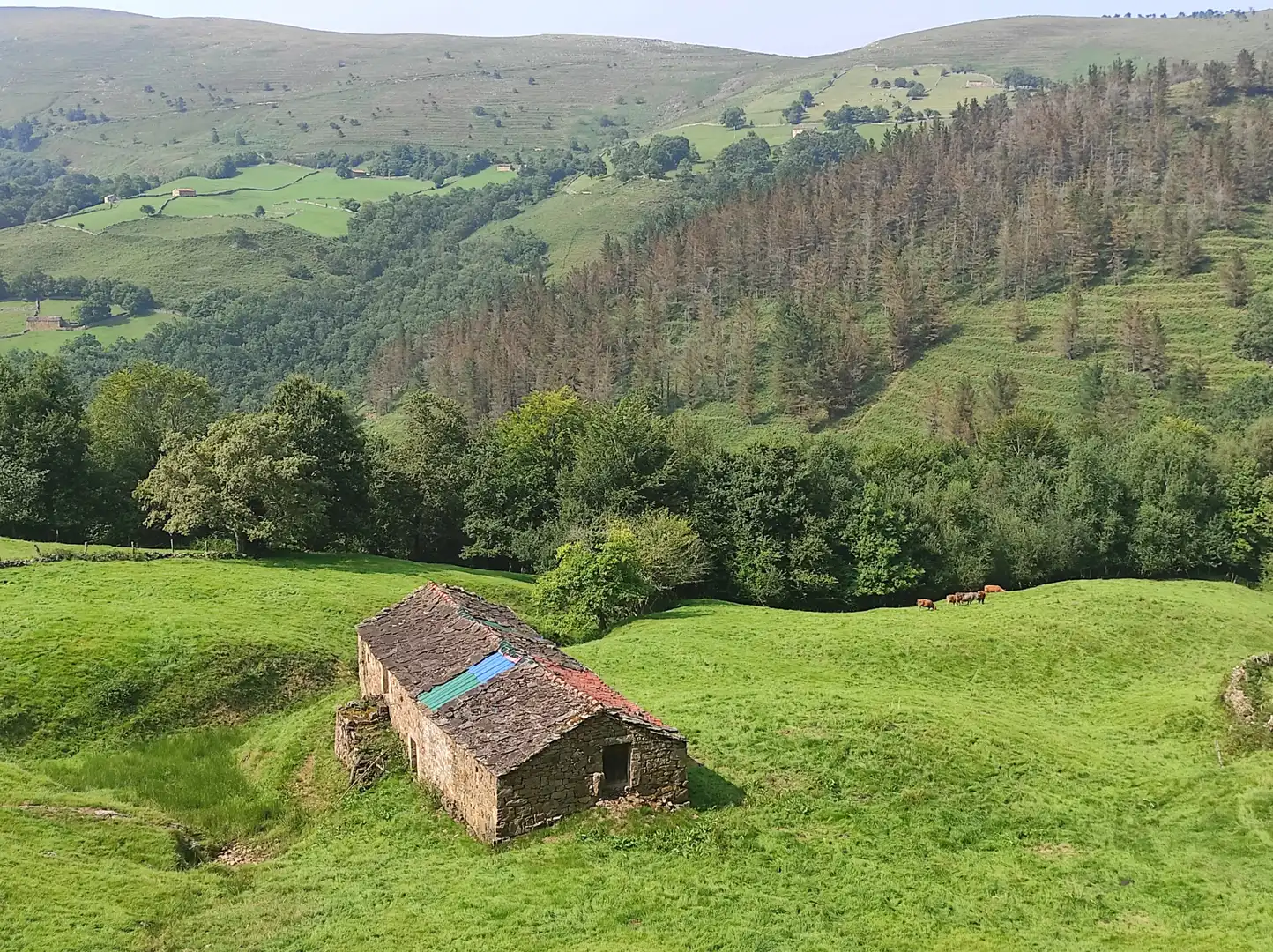 Casa rústica amb jardí en venda a Vega de Pas, imagen 6